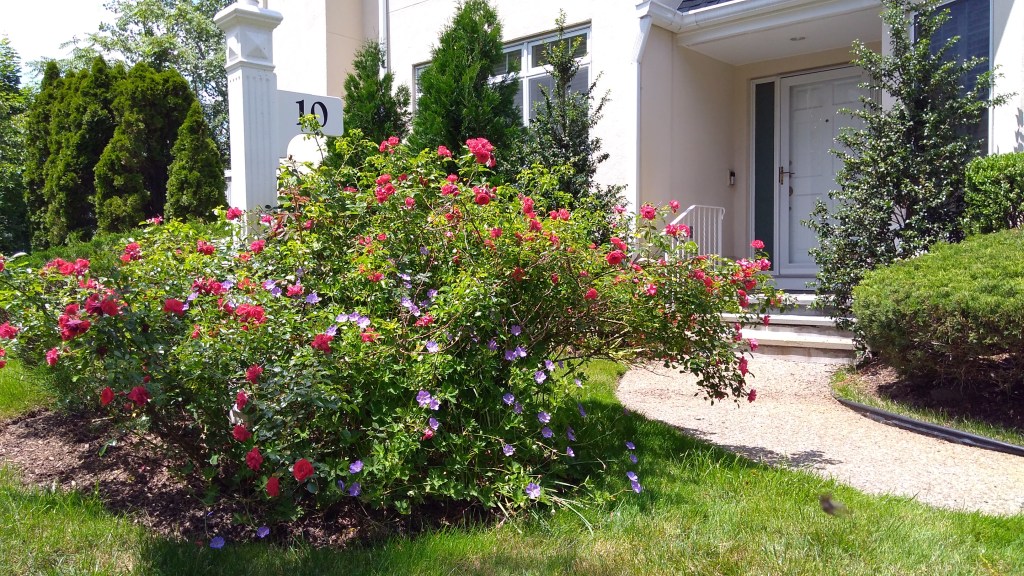 IMG_20170628_124630769