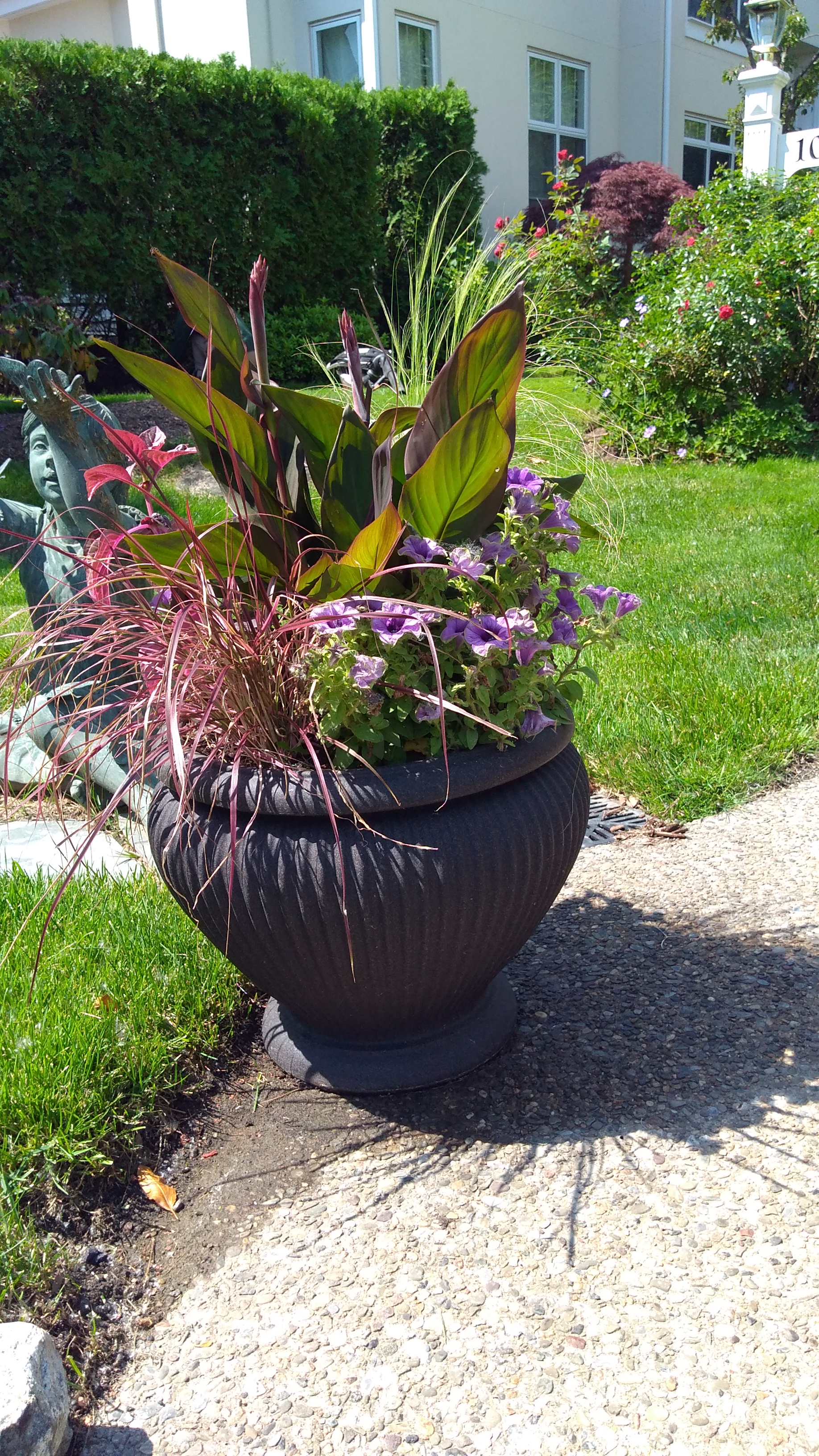 IMG_20180618_104758910